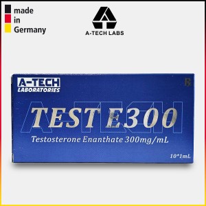 TEST E300 AMPS TEST E300 AMPS