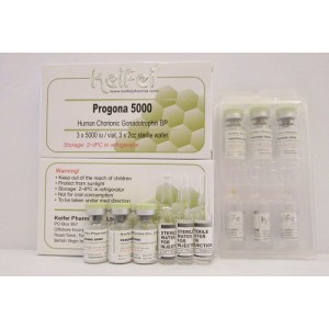 HCG - Progonda 5000 1vial/1amp