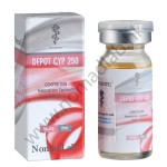 TEST CYP 250