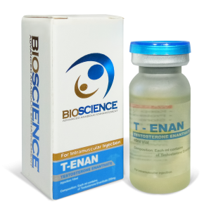  TEST E250