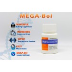 MEGA-BOL MEGA-BOL